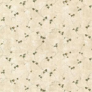 CTR21701 ― Eades Discount Wallpaper & Discount Fabric