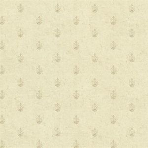 CTR64153 ― Eades Discount Wallpaper & Discount Fabric