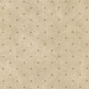 CTR66415 ― Eades Discount Wallpaper & Discount Fabric