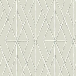 CV4450 ― Eades Discount Wallpaper & Discount Fabric