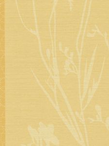 CV5229  ― Eades Discount Wallpaper & Discount Fabric