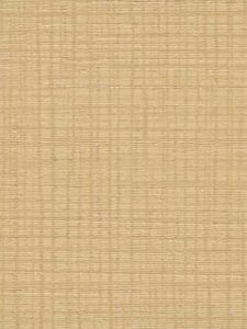 CV5264  ― Eades Discount Wallpaper & Discount Fabric