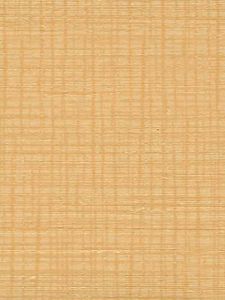 CV5265  ― Eades Discount Wallpaper & Discount Fabric