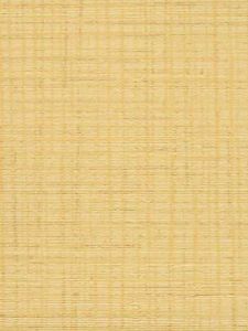 CV5267 ― Eades Discount Wallpaper & Discount Fabric