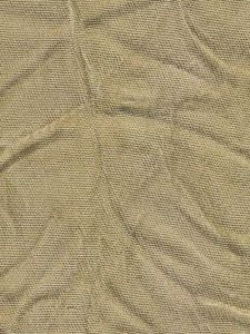 CWJ7139  ― Eades Discount Wallpaper & Discount Fabric