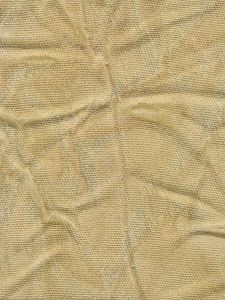 CWJ7140  ― Eades Discount Wallpaper & Discount Fabric