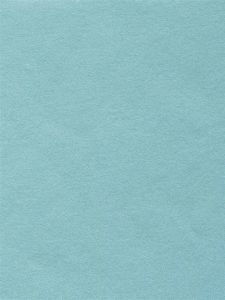 CX1343 ― Eades Discount Wallpaper & Discount Fabric