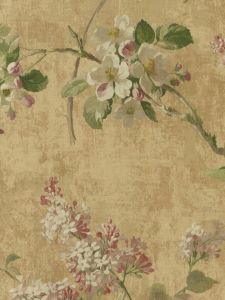 CY10301  ― Eades Discount Wallpaper & Discount Fabric