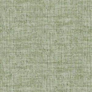 CY1561 ― Eades Discount Wallpaper & Discount Fabric