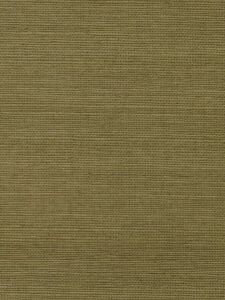 D41033  ― Eades Discount Wallpaper & Discount Fabric