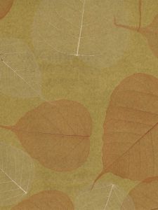 D70302  ― Eades Discount Wallpaper & Discount Fabric