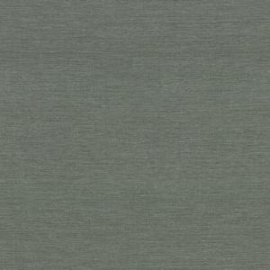 DA3550N ― Eades Discount Wallpaper & Discount Fabric