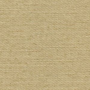 DAL3400 ― Eades Discount Wallpaper & Discount Fabric