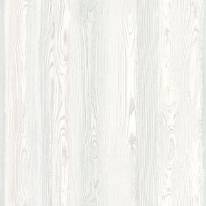 DD148623 ― Eades Discount Wallpaper & Discount Fabric