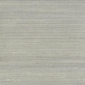 DE8994 ― Eades Discount Wallpaper & Discount Fabric
