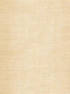 DF30505 ― Eades Discount Wallpaper & Discount Fabric