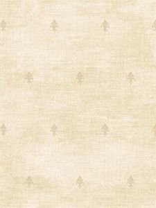 DF31105 ― Eades Discount Wallpaper & Discount Fabric