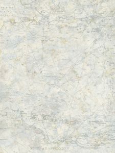 DLR16174 ― Eades Discount Wallpaper & Discount Fabric