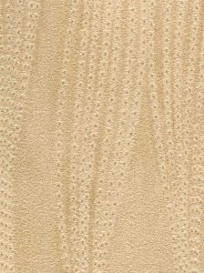  DP1151W ― Eades Discount Wallpaper & Discount Fabric
