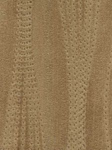 DP1153W ― Eades Discount Wallpaper & Discount Fabric