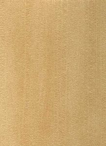DP1160W ― Eades Discount Wallpaper & Discount Fabric