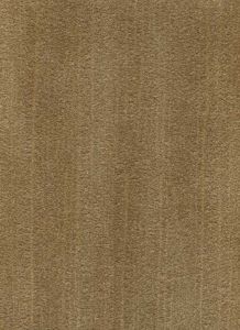 DP1162W ― Eades Discount Wallpaper & Discount Fabric