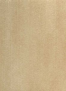 DP1170W ― Eades Discount Wallpaper & Discount Fabric