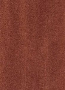 DP1171W ― Eades Discount Wallpaper & Discount Fabric