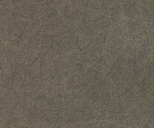 DP1350W ― Eades Discount Wallpaper & Discount Fabric