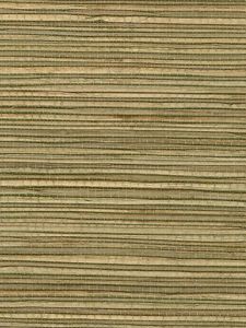 DSG123  ― Eades Discount Wallpaper & Discount Fabric