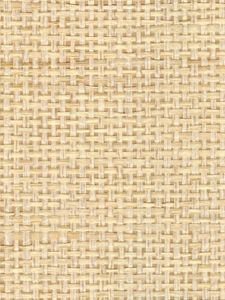 DSG3938  ― Eades Discount Wallpaper & Discount Fabric