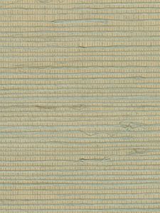 DSG465  ― Eades Discount Wallpaper & Discount Fabric