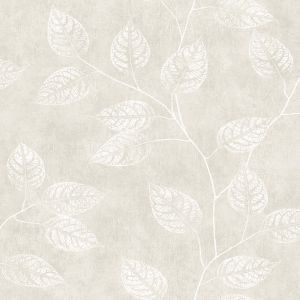 EW10800 ― Eades Discount Wallpaper & Discount Fabric