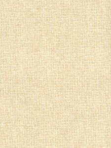 EW2624  ― Eades Discount Wallpaper & Discount Fabric