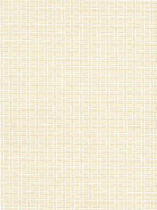  EW2629  ― Eades Discount Wallpaper & Discount Fabric