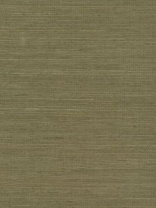 EW2640  ― Eades Discount Wallpaper & Discount Fabric