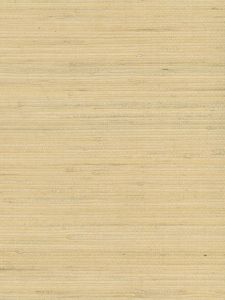 EW2645  ― Eades Discount Wallpaper & Discount Fabric