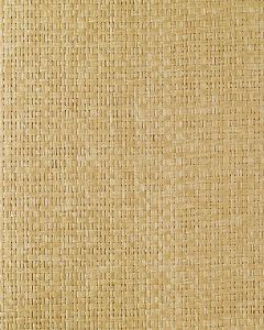 EW3137 ― Eades Discount Wallpaper & Discount Fabric