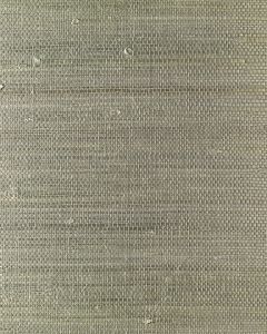 EW3141 ― Eades Discount Wallpaper & Discount Fabric