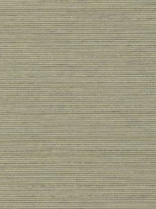EWR6242  ― Eades Discount Wallpaper & Discount Fabric