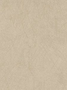EWR6251  ― Eades Discount Wallpaper & Discount Fabric