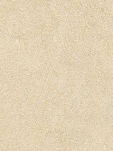 EWR6252  ― Eades Discount Wallpaper & Discount Fabric