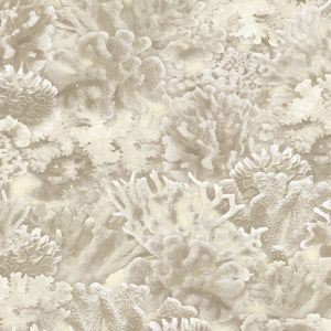 FH37501 ― Eades Discount Wallpaper & Discount Fabric