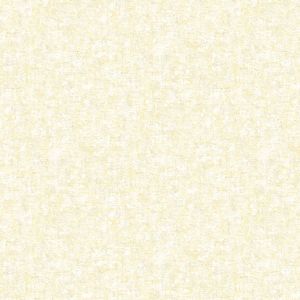 FW36839 ― Eades Discount Wallpaper & Discount Fabric