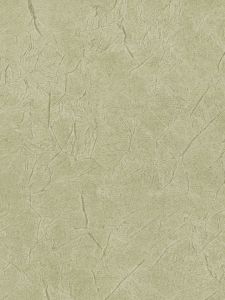 FX81204  ― Eades Discount Wallpaper & Discount Fabric