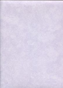 G23257 ― Eades Discount Wallpaper & Discount Fabric