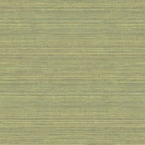 G45422 ― Eades Discount Wallpaper & Discount Fabric