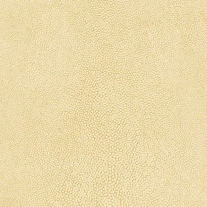 G67466 ― Eades Discount Wallpaper & Discount Fabric