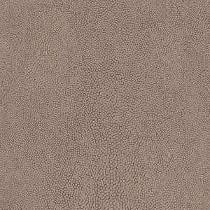 G67467 ― Eades Discount Wallpaper & Discount Fabric