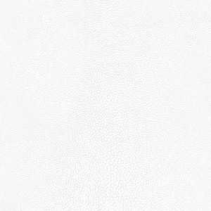 G67470 ― Eades Discount Wallpaper & Discount Fabric
